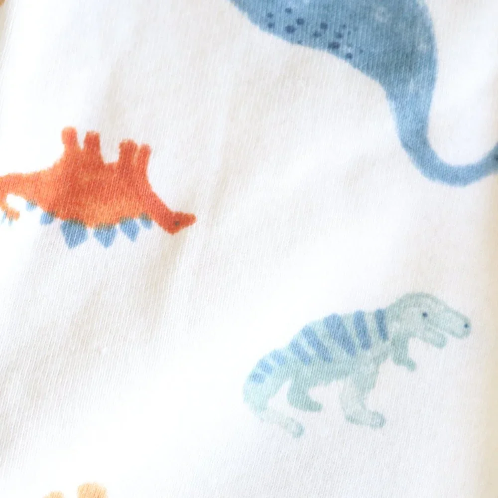 Baby Boy Dinosaur Watercolor Leggings Comfy Elastic Pull On Pants